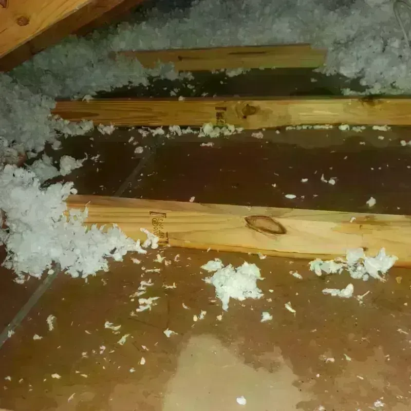 Attic Water Damage in Tarpey Village, CA